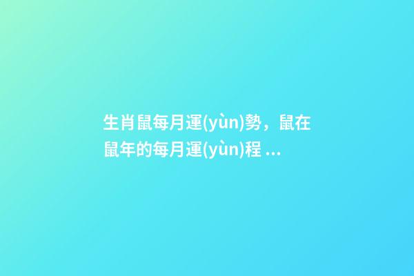 生肖鼠每月運(yùn)勢，鼠在鼠年的每月運(yùn)程 屬鼠人一生運(yùn)程，生肖鼠一生運(yùn)勢-第1張-觀點-玄機(jī)派